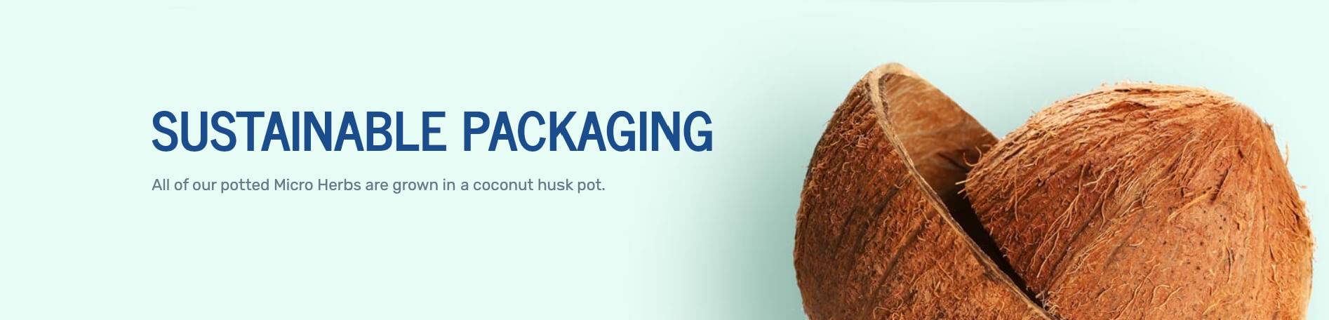 Sustainable Packaging